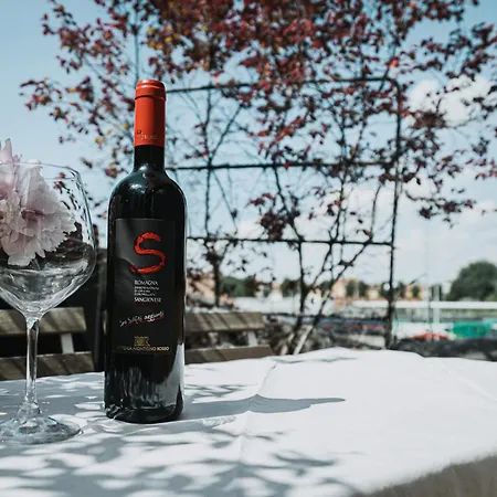 Torte & Lini Boloňa