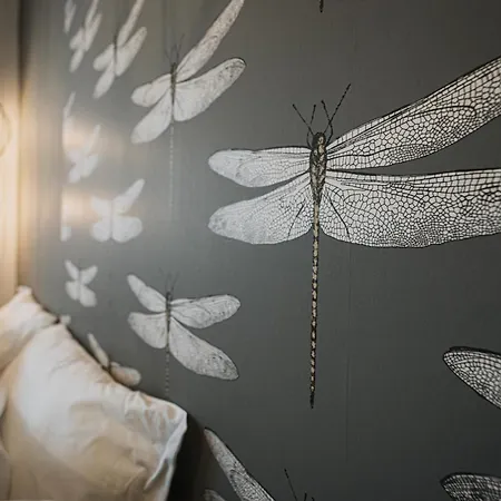 Bed & Breakfast Torte & Lini