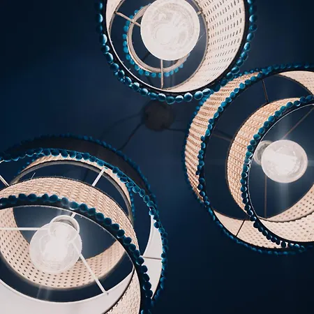 Torte & Lini Boloňa